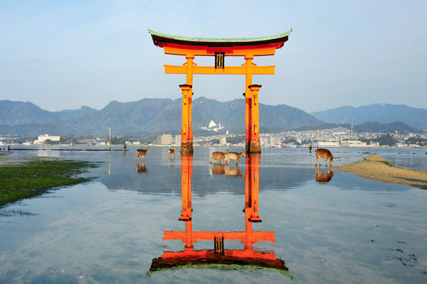 miyajima-top.jpg